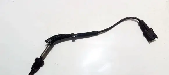 Exhaust gas temperature sensor