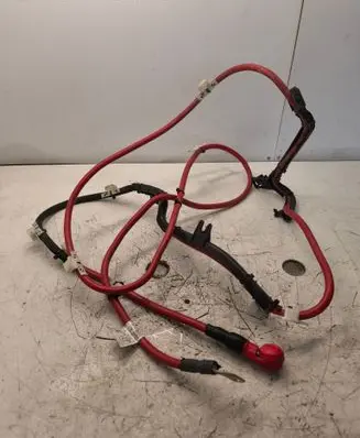 BMW X1 F48 F49 Positive cable (battery) 6803329 65676852