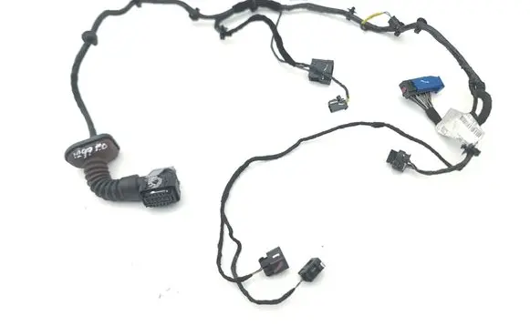 Front door wiring loom