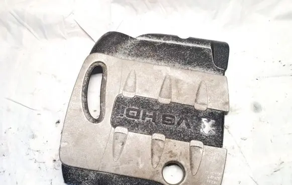 Citroen C5 Engine cover (trim) 9665779380 1038691s01