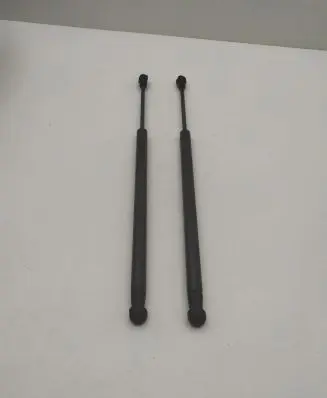 Tailgate strut