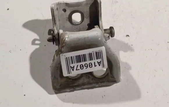 Peugeot 307 Rear door lower hinge
