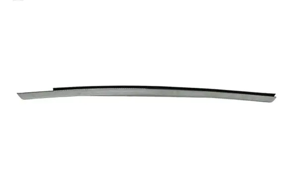 Tesla Model S Rear door trim (molding)