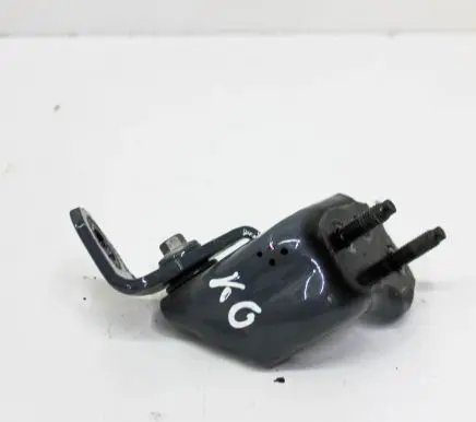 Ford F150 Rear door lower hinge 26811410