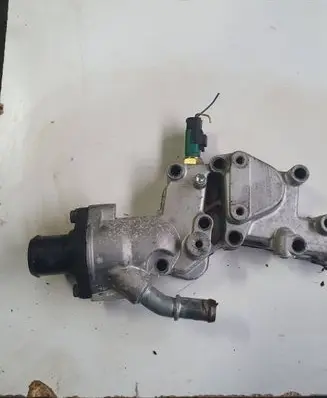 Thermostat/thermostat housing