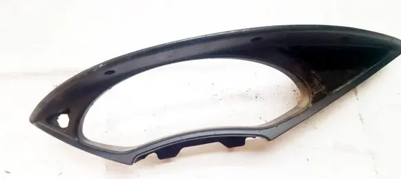 Dashboard trim