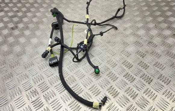 Peugeot 208 Front door wiring loom 9805742580