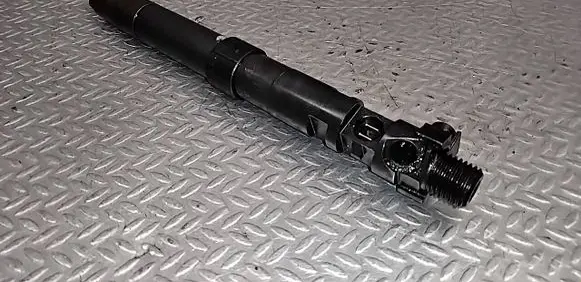 Citroen C5 Fuel injector 9686191080