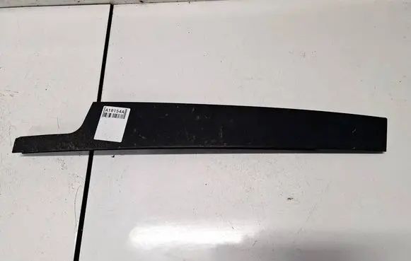 Renault Scenic III - Grand scenic III Front door glass trim molding
