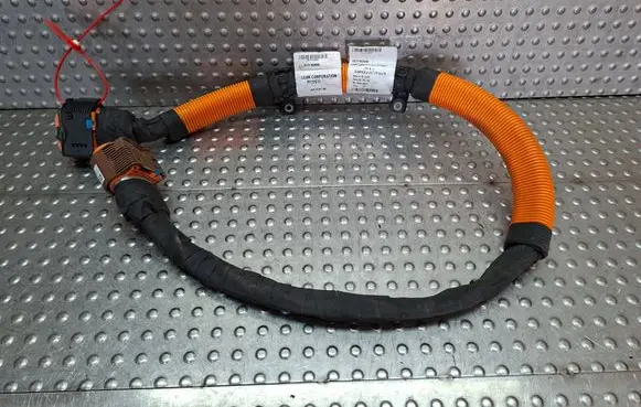 Renault Kangoo III Electric car charging cable 291Y16289R S26309495