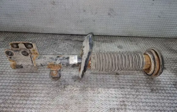 Peugeot Partner Front shock absorber/damper 824902004891