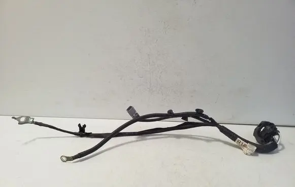Other wiring loom