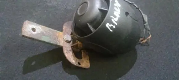 Fiat Bravo - Brava Alarm system siren 