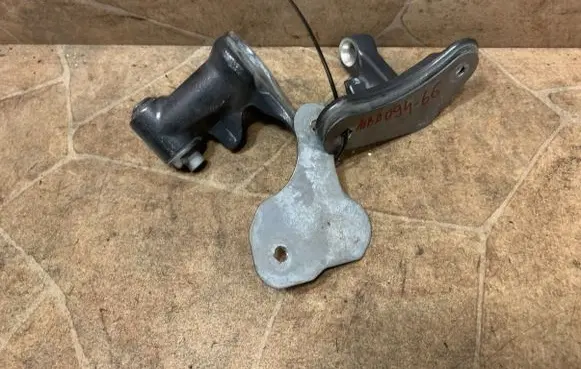 Rear door lower hinge