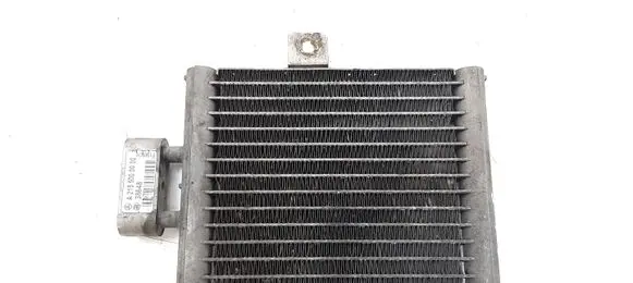 Mercedes-Benz CL C215 Engine oil radiator A2155000000