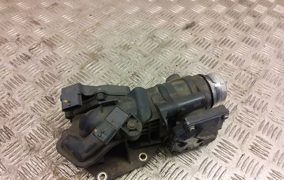 Renault Trafic III (X82) Throttle valve A2C53350932 3120516220