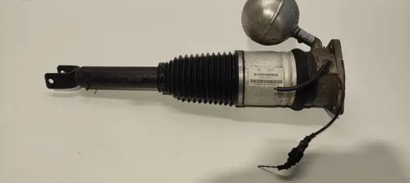 Volkswagen Phaeton Rear shock absorber/damper 3D0616001H