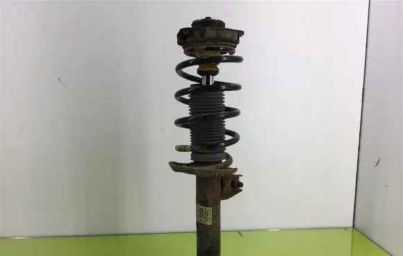 Volkswagen PASSAT B6 Front shock absorber with coil spring 3C0413031AA