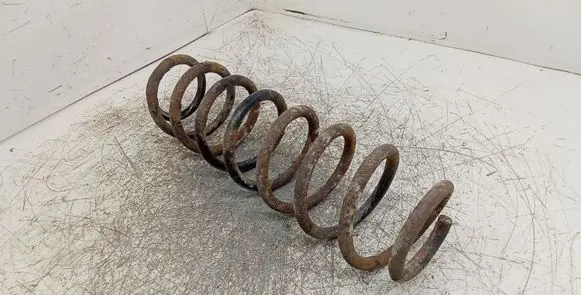 Rear coil spring