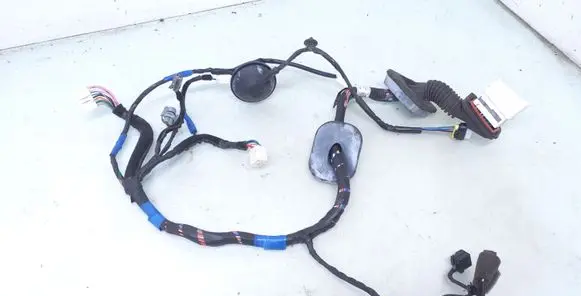 Front door wiring loom