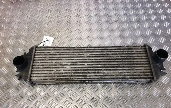 Renault Trafic II (X83) Intercooler radiator 7700312903 8689260H