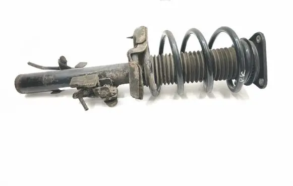 Ford Kuga II Front shock absorber with coil spring CV6118K001ABB E5629302