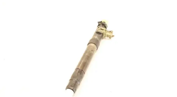Citroen C5 Fuel injector EMBR001010