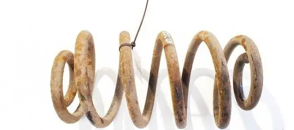 Rear coil spring