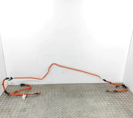 Honda CR-V Other wiring loom 1F11069FJ020 1F11069FJ02
