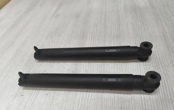 Tailgate/trunk strut/damper
