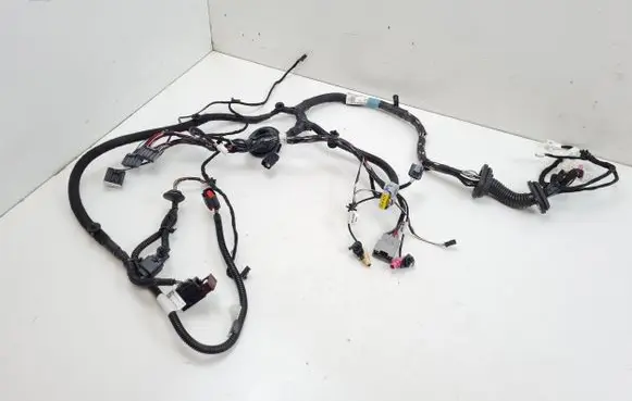 Front door wiring loom