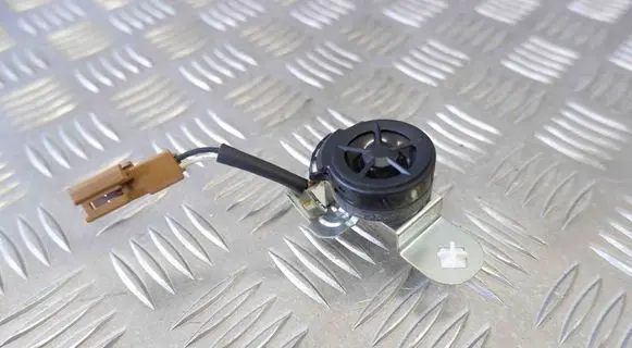 Panel speaker