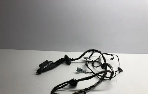 BMW 3 E90 E91 Rear door wiring loom 6925542