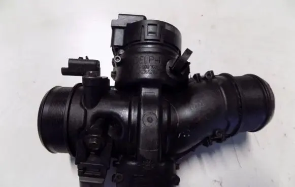Peugeot 1007 Throttle valve