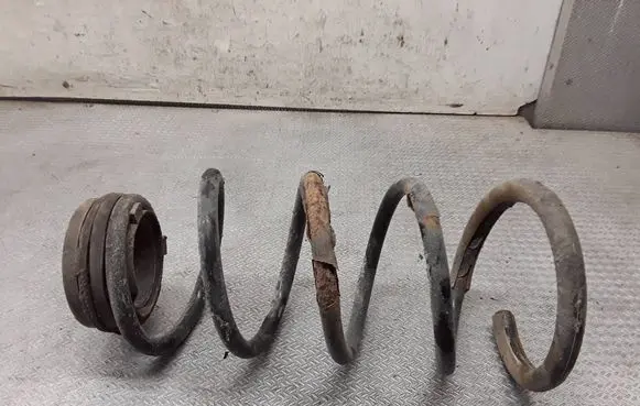 Citroen Jumpy Front coil spring 
