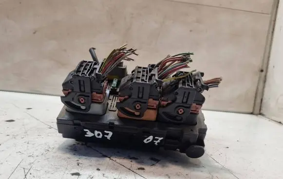 Peugeot 307 Fuse module 9661087080