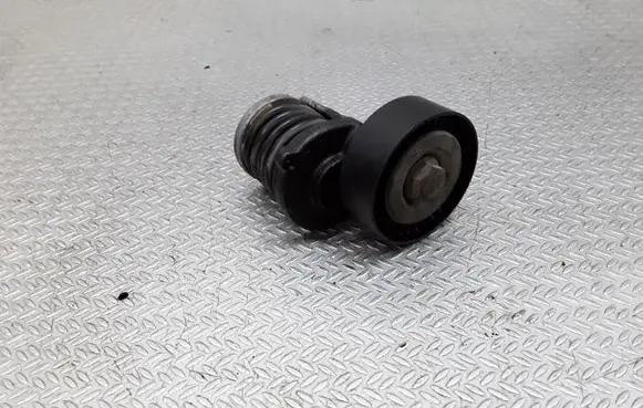 Skoda Octavia Mk2 (1Z) Generator/alternator belt tensioner 038903315AH