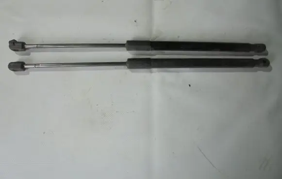 Tailgate strut
