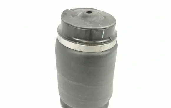 Rear coil spring