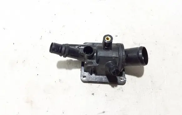 Thermostat/thermostat housing
