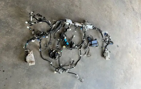 Lexus UX Wiring harness 