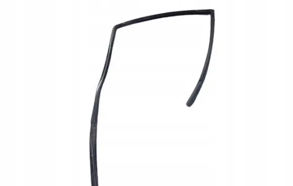 Mercedes-Benz 100 W631 Front door rubber seal 