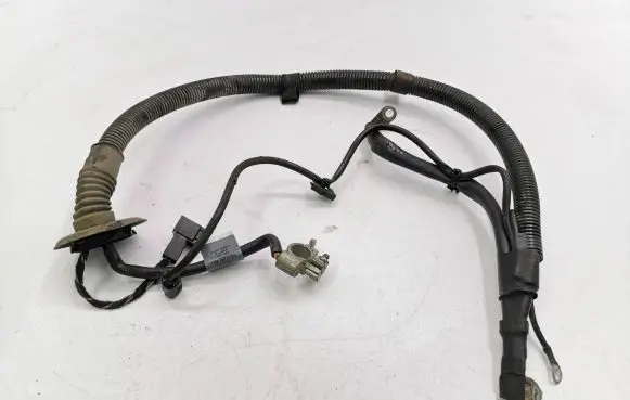 Mercedes-Benz B W245 Negative earth cable (battery) A1695400209
