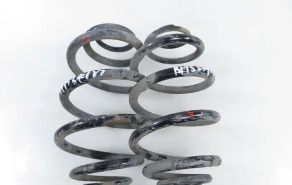 Volkswagen PASSAT B5 Rear coil spring