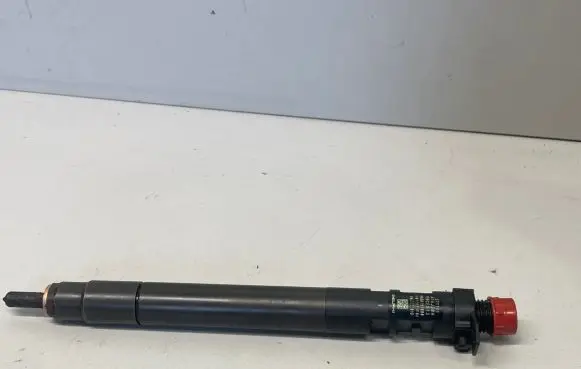 Ford Galaxy Fuel injector 9686191080