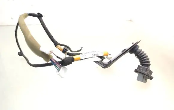 Rear door wiring loom