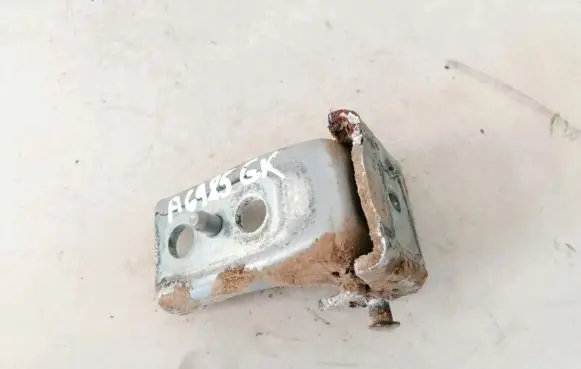Citroen C3 Rear door lower hinge
