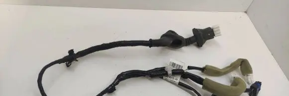 Rear door wiring loom