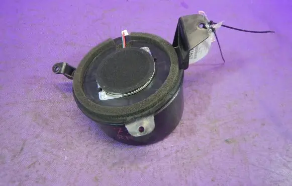 Front door speaker