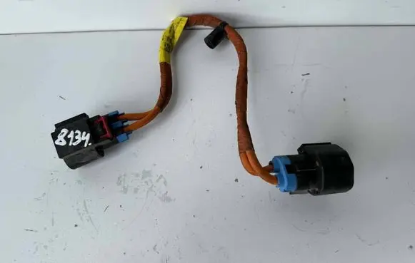 Tesla Model S Other wiring loom 108638000A